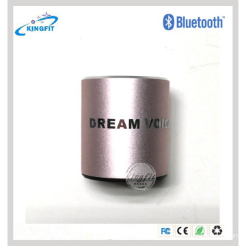 Dream Voice Altavoz inalámbrico portátil Bluetooth Mini Subwoofer con micrófono